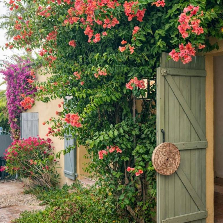 Villa Solea avec petit bassin et proche Plages - Villa - 33