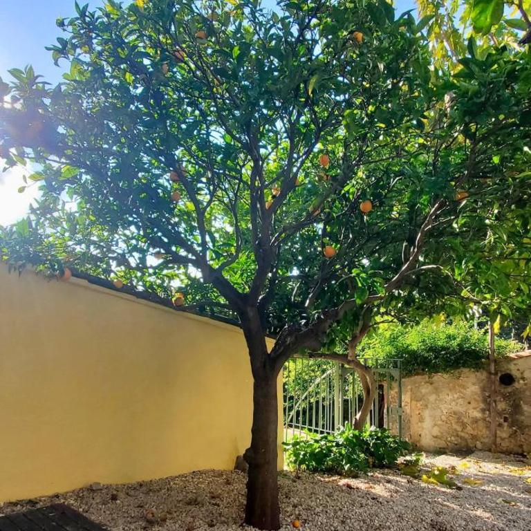 Villa Solea avec petit bassin et proche Plages - Villa - 35