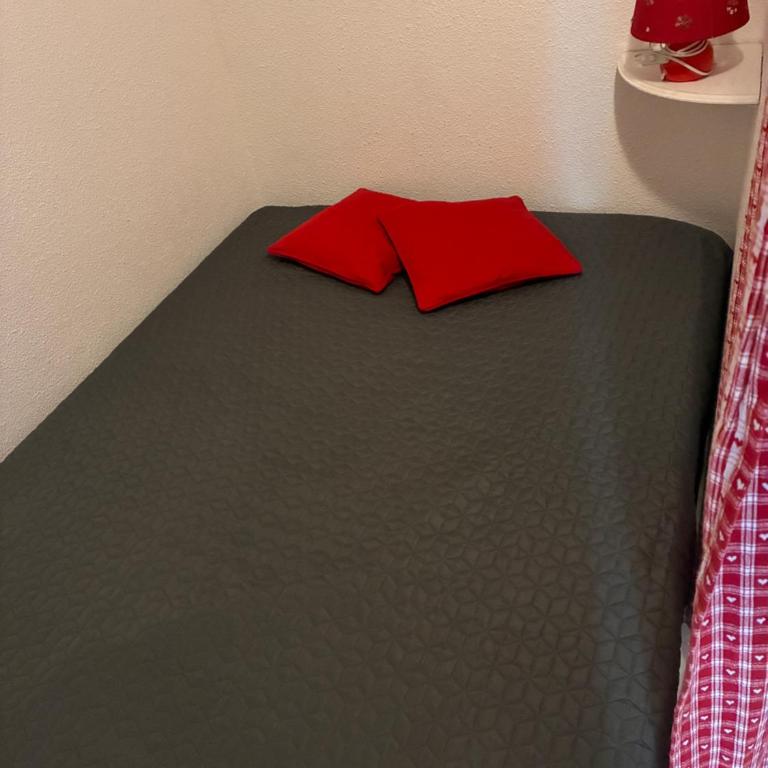 Appart Centre Bagnères de Luchon, entre les Thermes et les Remontées mécaniques - Appartement 1 Chambre - 5