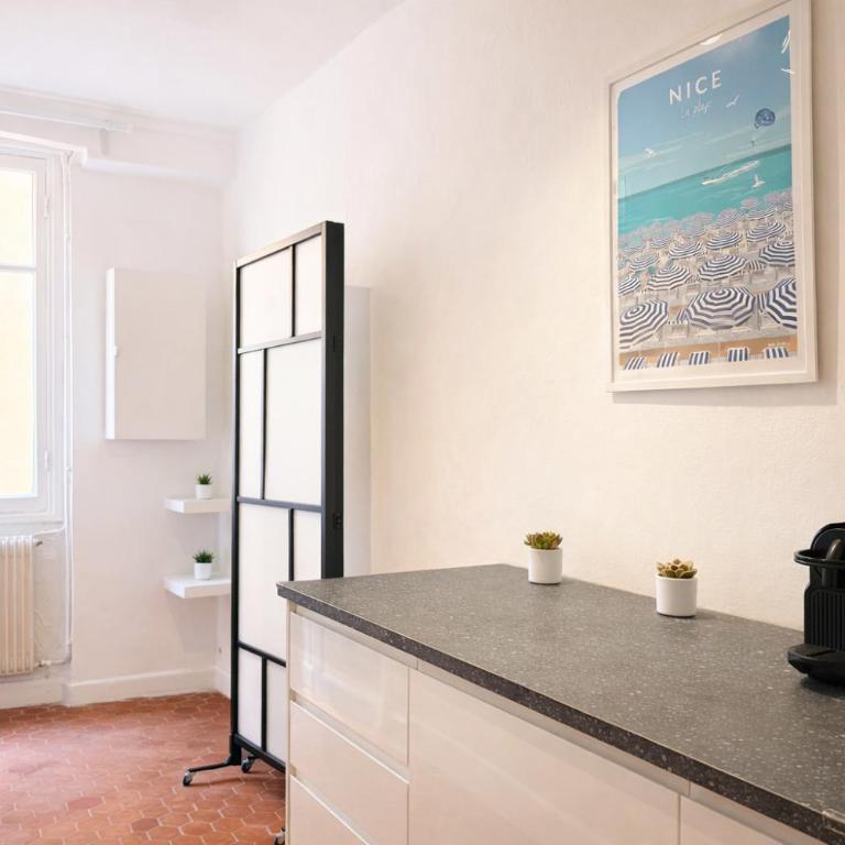 Charme du Vieux-Nice - cocon lumineux à 100 m de la mer - Appartement 1 Chambre - 14