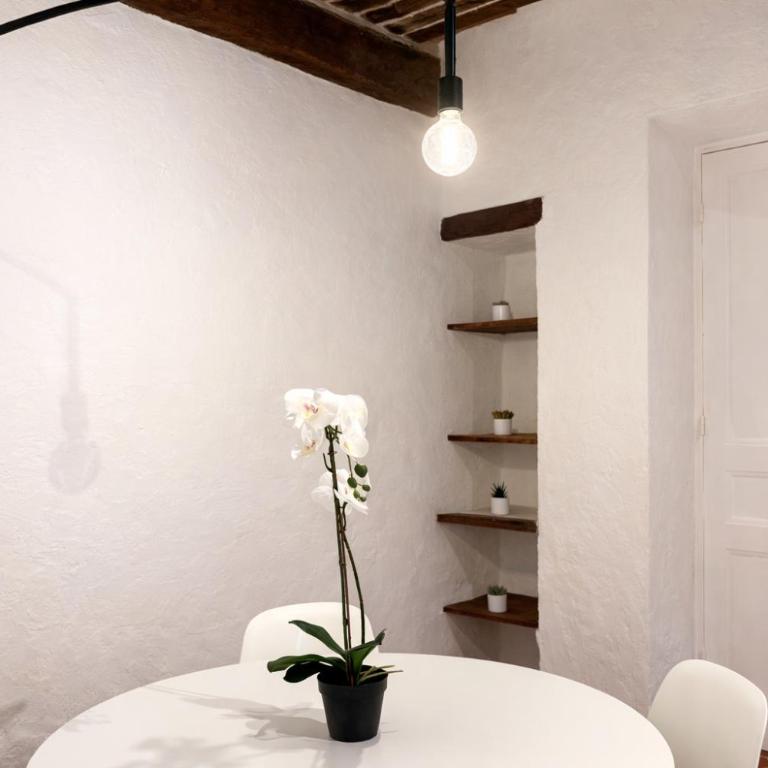Charme du Vieux-Nice - cocon lumineux à 100 m de la mer - Appartement 1 Chambre - 10