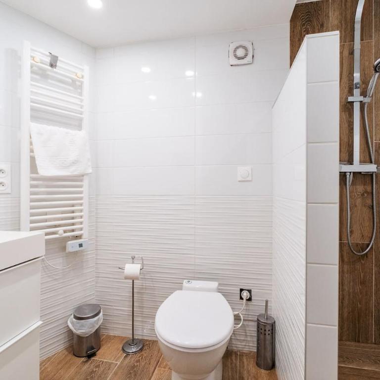 Charmant Souplex en hypercentre - Apartamento - 6