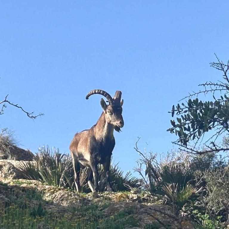 Casa Buena Vista Naturista en La Herradura - Casa - 81