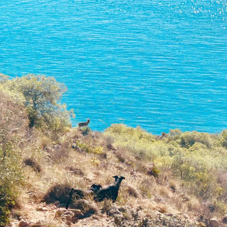 Casa Buena Vista Naturista en La Herradura - Casa - 84