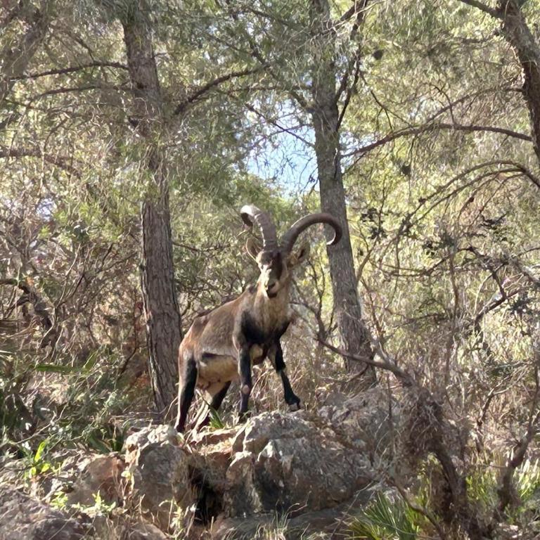 Casa Buena Vista Naturista en La Herradura - Casa - 77