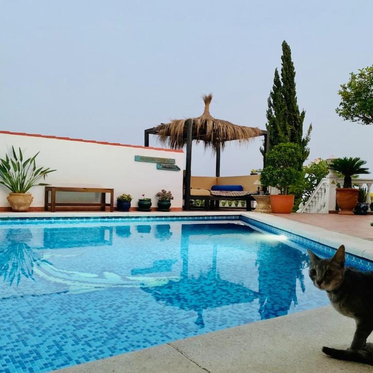 Casa Buena Vista Naturista en La Herradura - Casa - 12