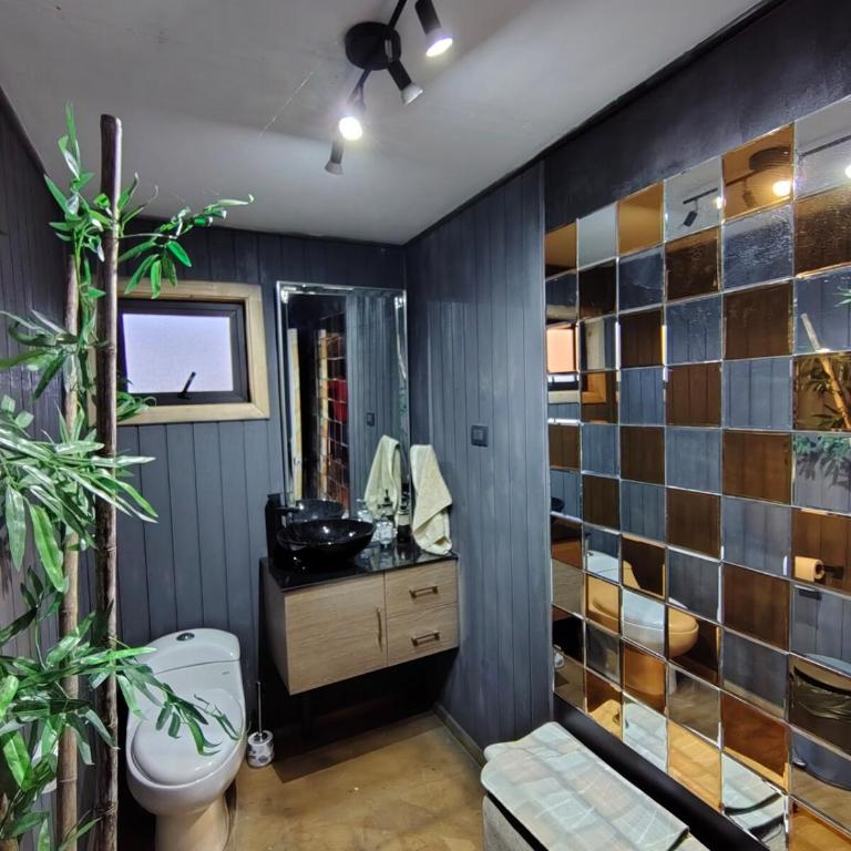 Casa quincho terraza y piscina - Villa de 1 dormitorio - 39