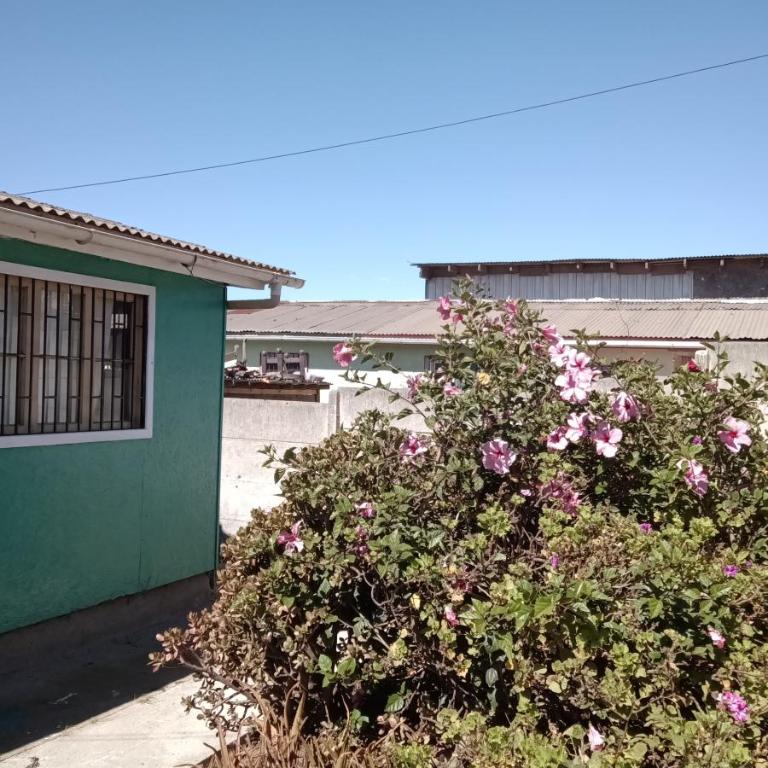 Cabaña de Madera Años 50 Quintero - Two-Bedroom House - 2