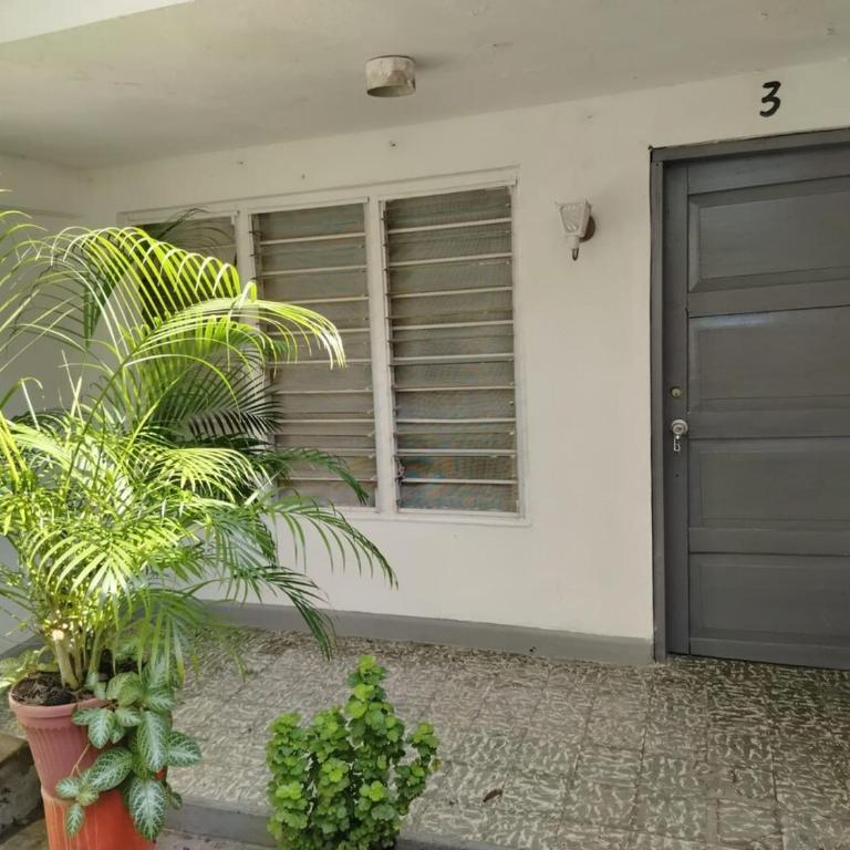 Entire house in Cartagena - Three-Bedroom Apartment - 5