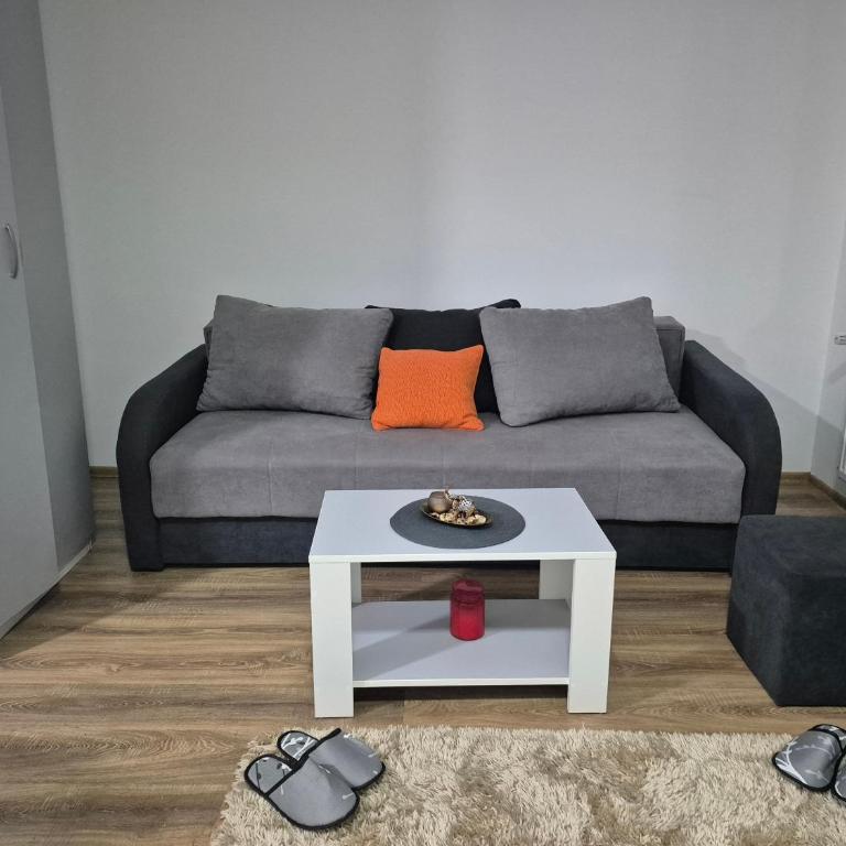 Apartman Jovanovic Royal Stay - Apartman sa 1 Spavaćom Sobom - 9