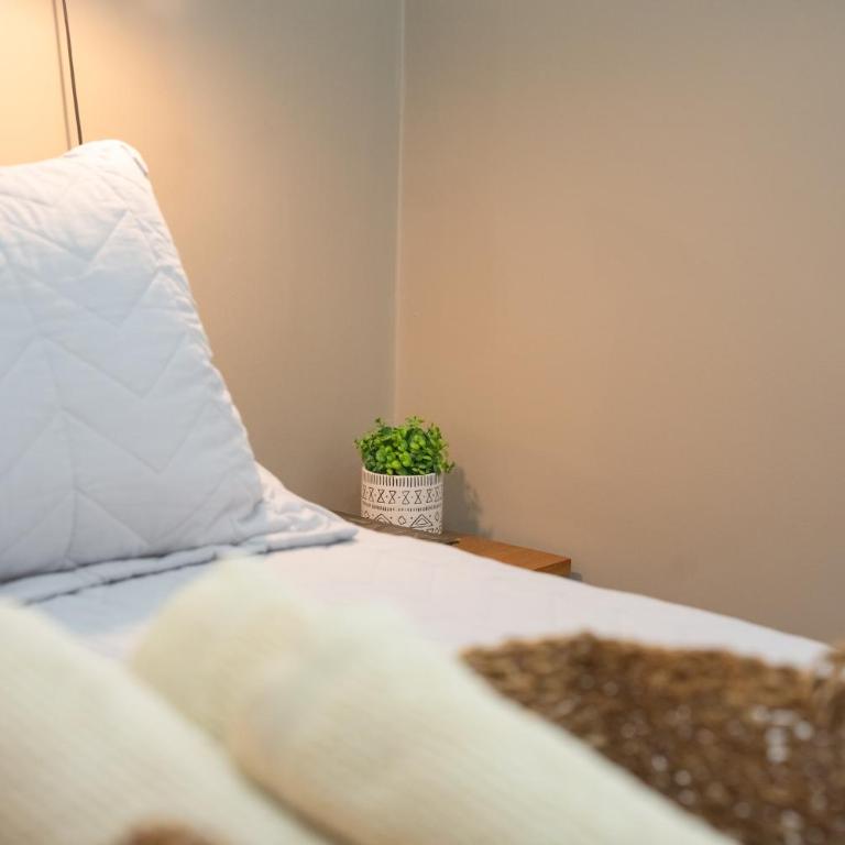 Departamento céntrico con estacionamiento gratis - One-Bedroom Apartment - 22