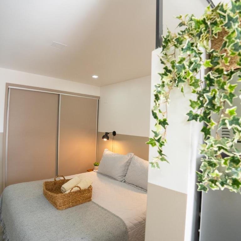 Departamento céntrico con estacionamiento gratis - One-Bedroom Apartment - 21