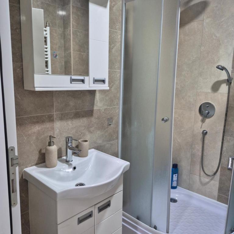 Apartman Jovanovic Royal Stay - Apartman sa 1 Spavaćom Sobom - 7