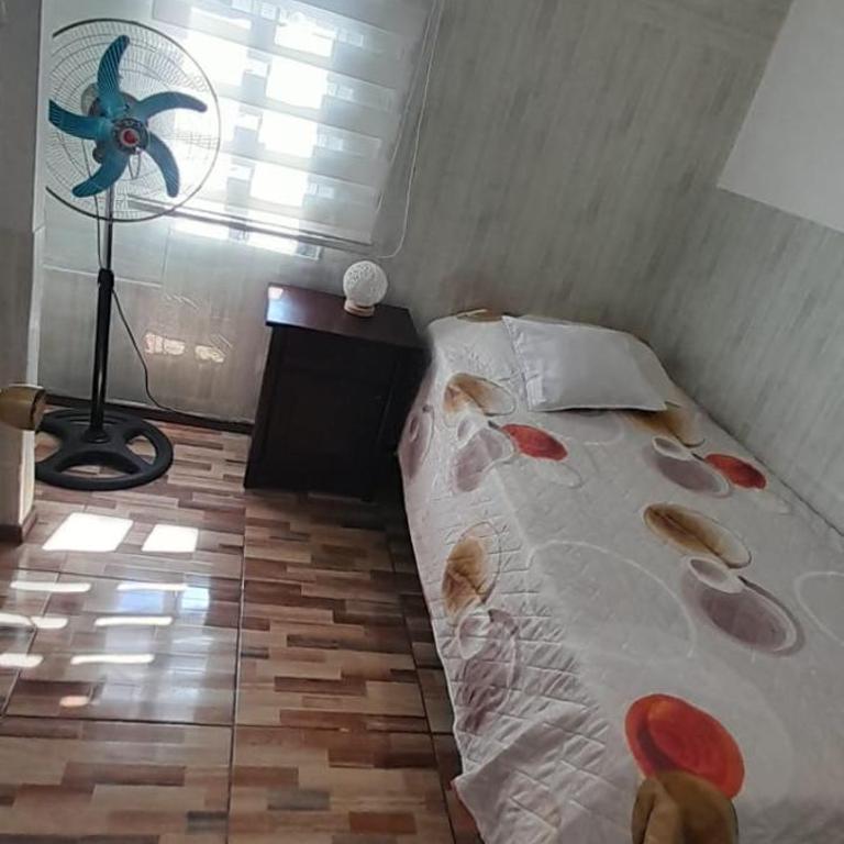 Hostal Pura Vida - Single Room - 1