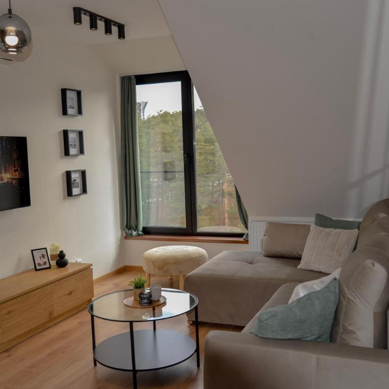PANTEX Centar Zlatibor - Apartman sa 2 Spavaće Sobe - 9