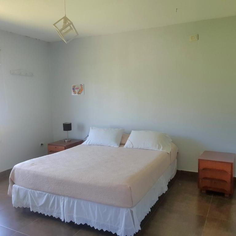 Hermosa casa iluminada con espacio verde y cerca del cerro - Casa Unifamiliar de 3 dormitorios - 8