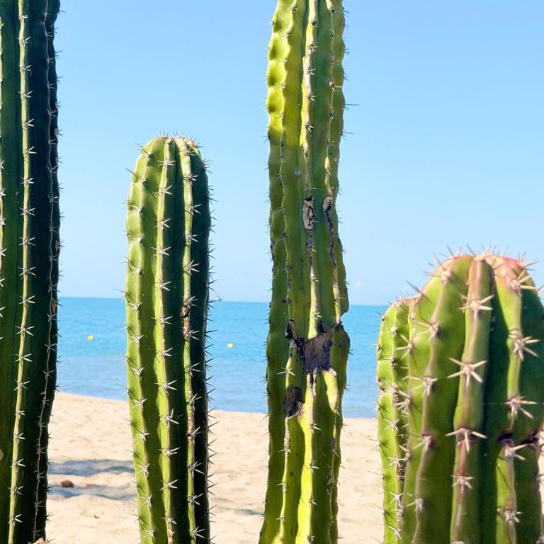 Modern Balcony Apartment with Sea View! - One-Bedroom Apartment - 14