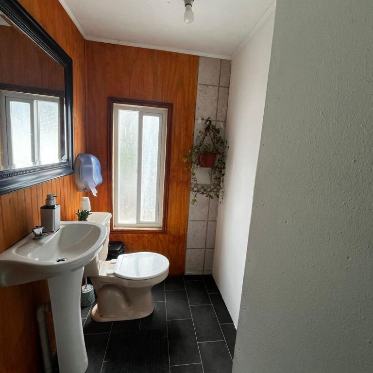 Fungi Hostal - Twin Room - 3