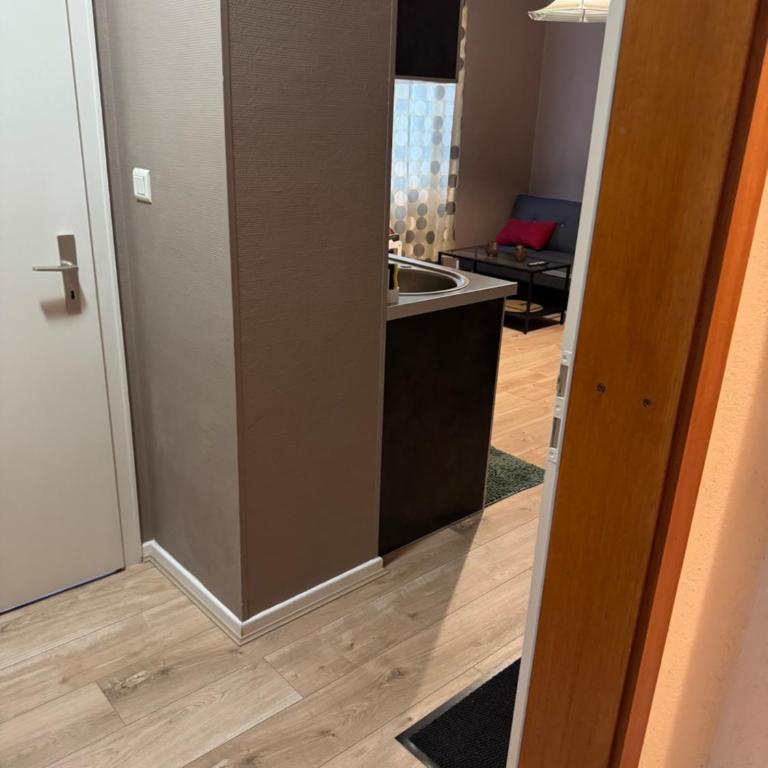 Studio Mulhouse - Apartment mit 1 Schlafzimmer - 45