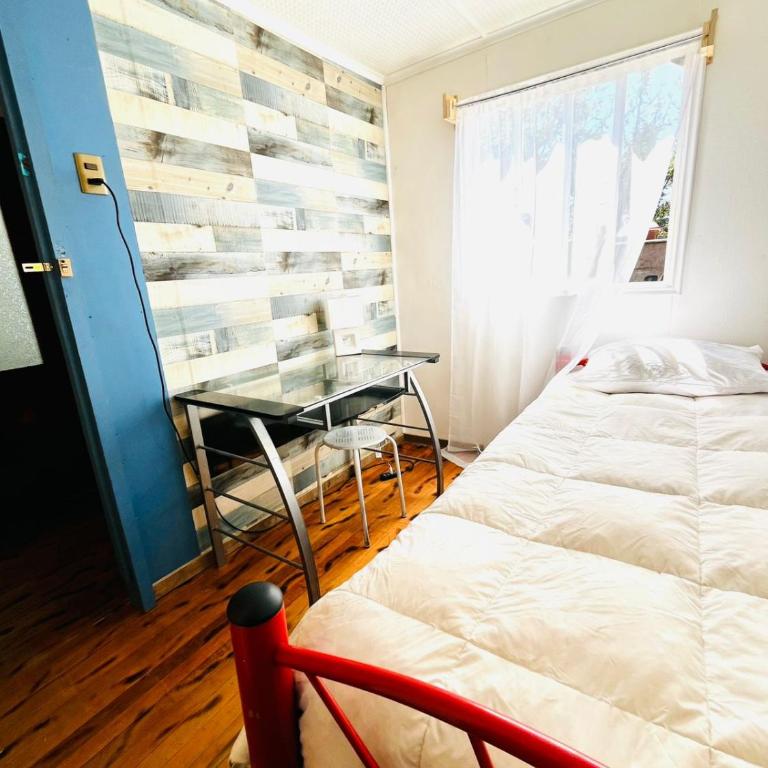 Fungi Hostal - Single Room - 2