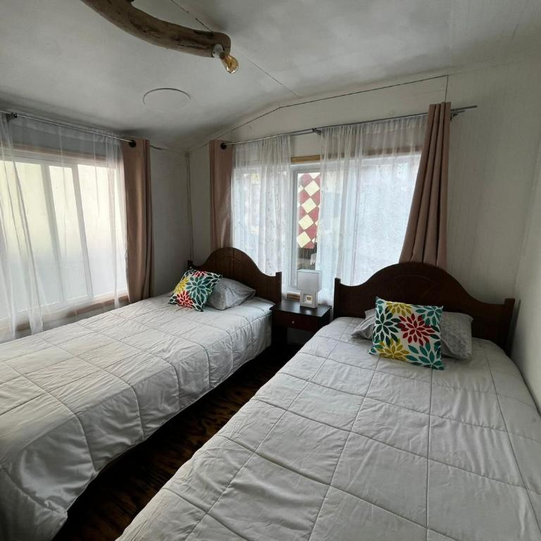Fungi Hostal - Twin Room - 5