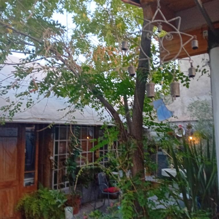 El Fresno - Apartamento - Planta baja - 15