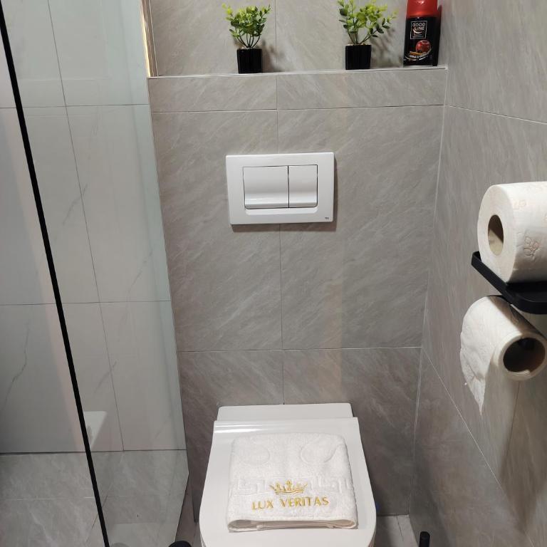 Lux Veritas Near Center FREE PARKING Special April Offer - Apartman sa 1 Spavaćom Sobom - 22