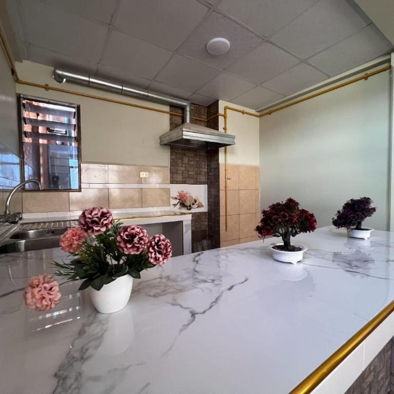 Departamento Independiente Centrico - Apartamento de 2 dormitorios - 11