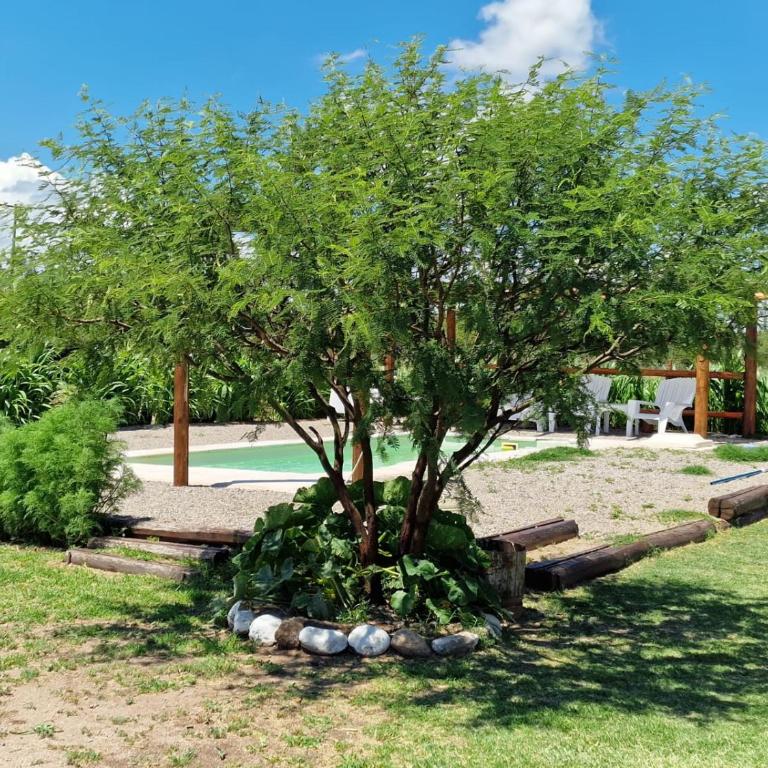 Casitas de troncos Nogoli - Apartamento de 1 dormitorio - 1