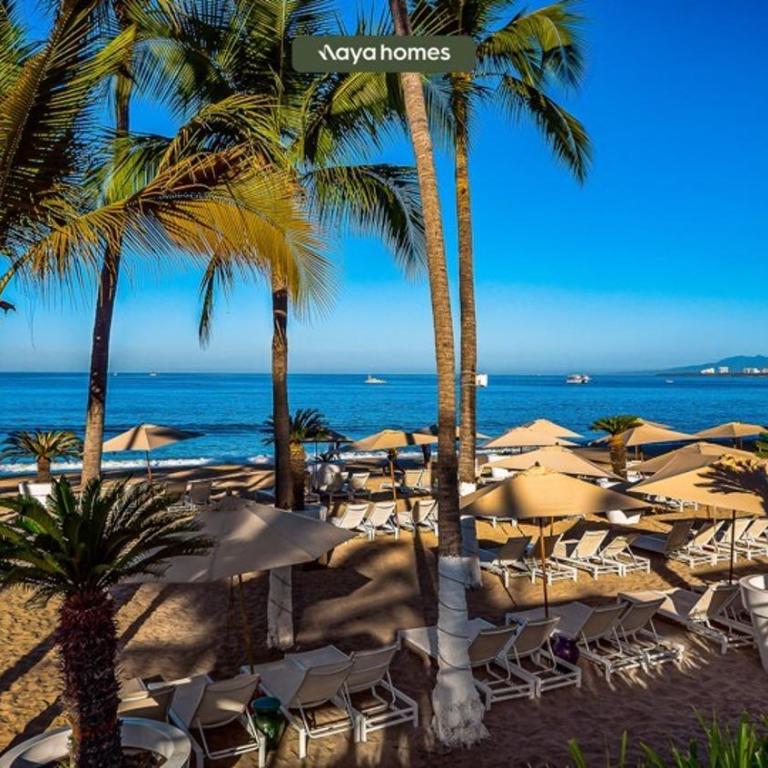 Oceanview 3BR Apt with Beach Access - Pools - Gym - Casa - 34
