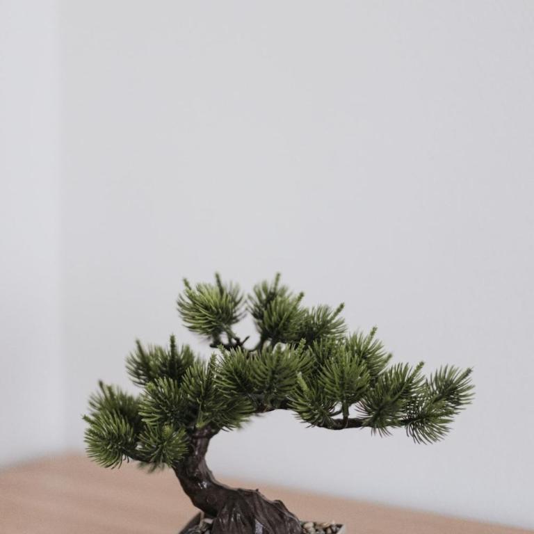 Apartment Daisy - Apartman sa 1 Spavaćom Sobom - 14
