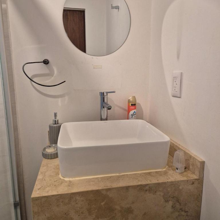 Melchor Ocampo 324 - Estancia Tranquila - One-Bedroom Apartment - 19