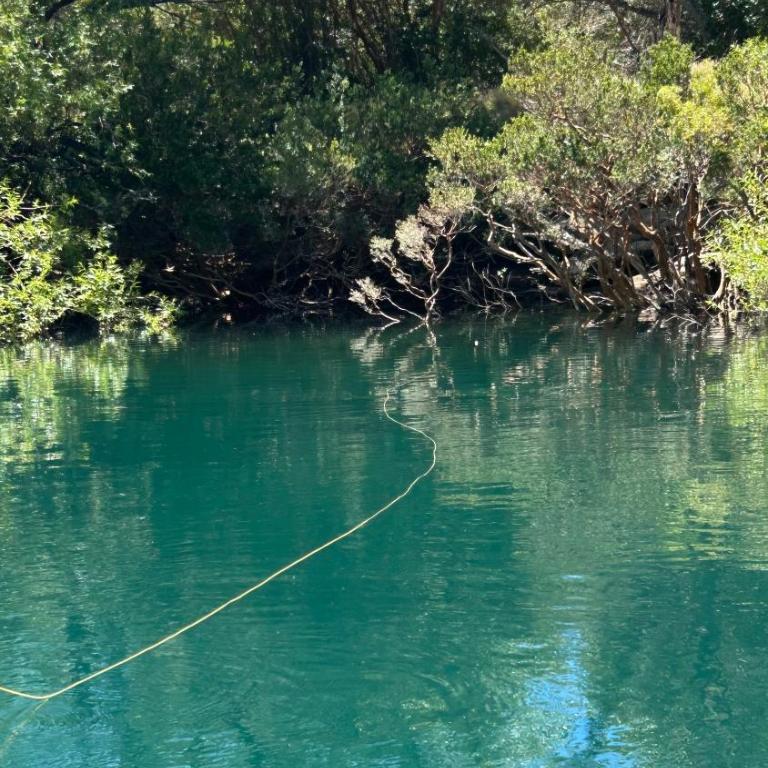 Patagonia - Chalet de 1 dormitorio - 12