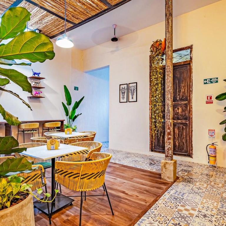 Suite 101 - WELOFT - San antonio cali - Apartamento de 1 dormitorio - 19