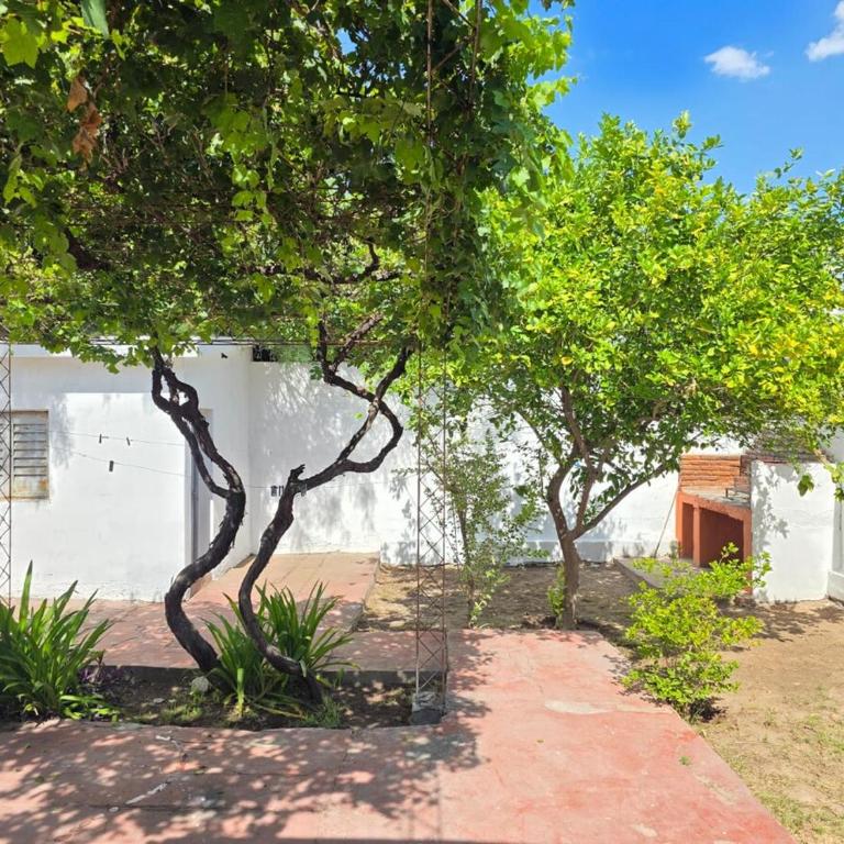 Casa Yacampis - La Rioja, Argentina - Two-Bedroom House - 9