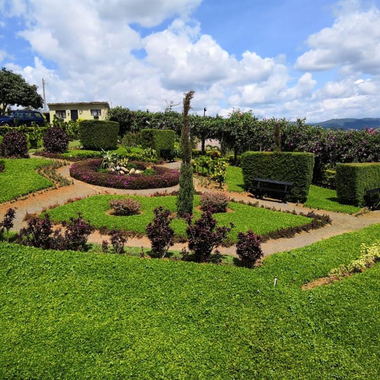 Casas La Colina Nature Retreat near Curití - Three-Bedroom House - 23