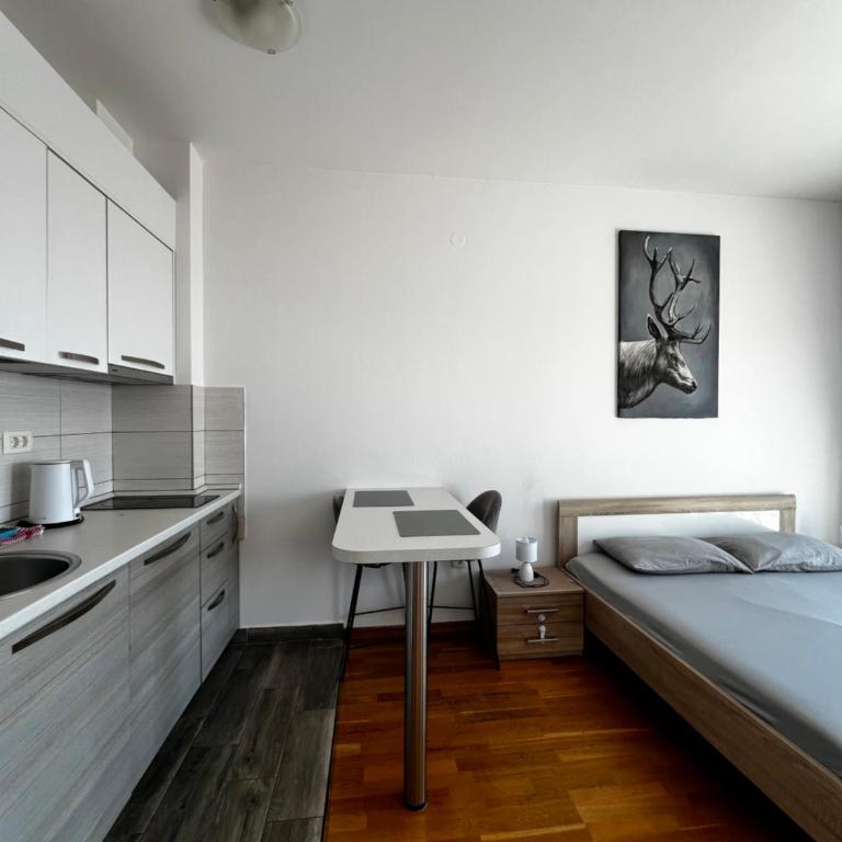 Paradise Apartments Becici - Deluxe Studio - 3