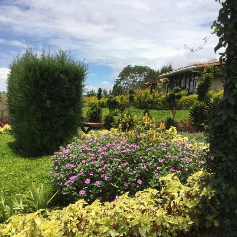 Hermosa casa de campo a 20 minutos de Curití - Chalet - 27