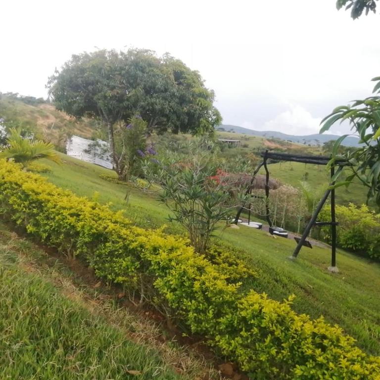 Hermosa casa de campo a 20 minutos de Curití - Chalet - 29