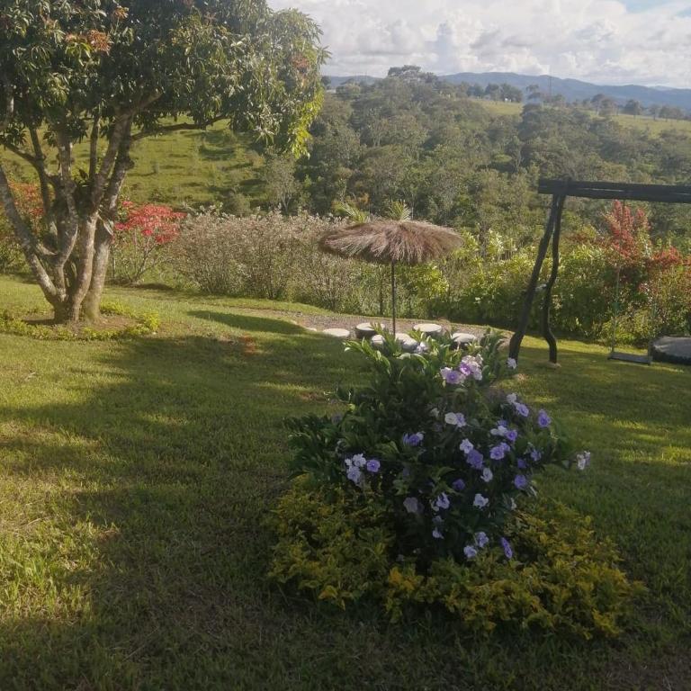 Hermosa casa de campo a 20 minutos de Curití - Chalet - 30