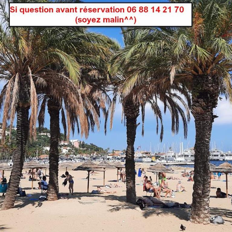 Studio lavandou avec parking privé proche mer - Studio avec Terrasse - 1