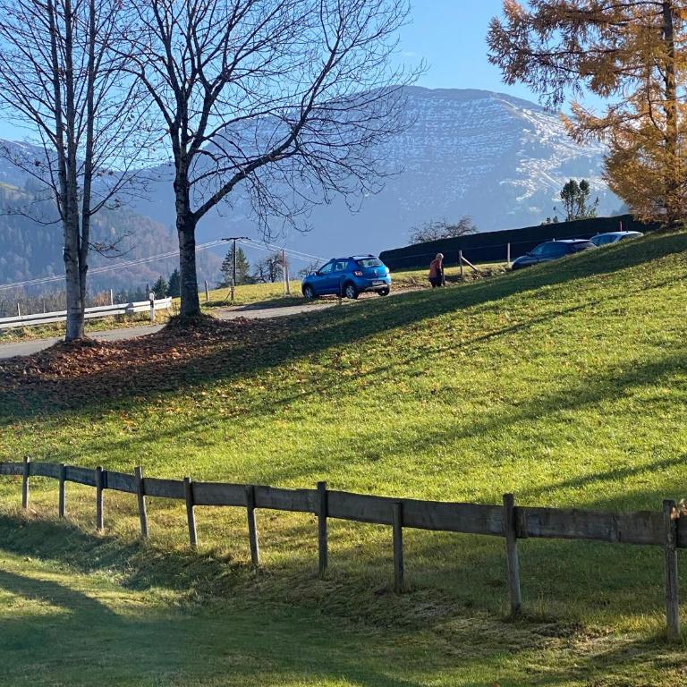 Schneerosenblüte Steibis mit Oberstaufen Plus - Deluxe Apartment mit 1 Schlafzimmer und Gartenblick - 12