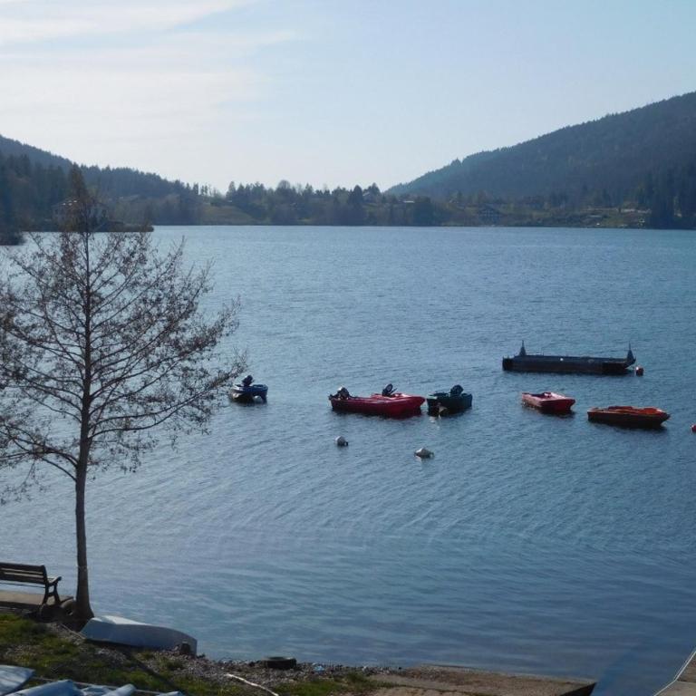 Lakeside Escape Appartement à 50m du lac - Appartement 1 Chambre - 17
