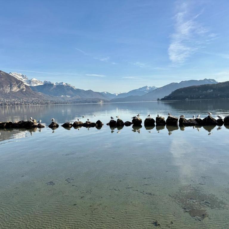 Xel-Lac appartement, 4 personnes, Annecy - Two-Bedroom Apartment - 34