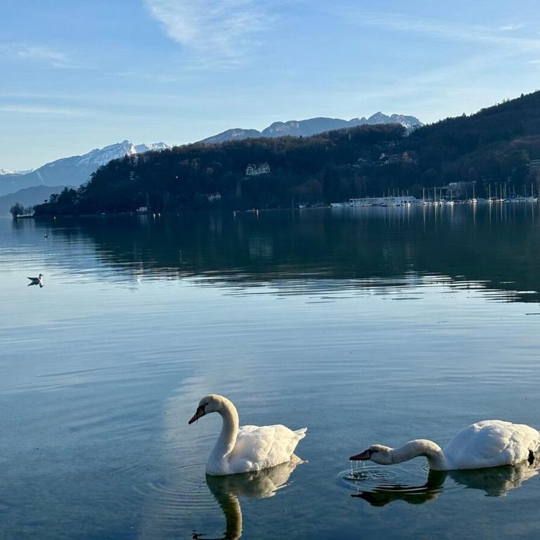Xel-Lac appartement, 4 personnes, Annecy - Two-Bedroom Apartment - 37