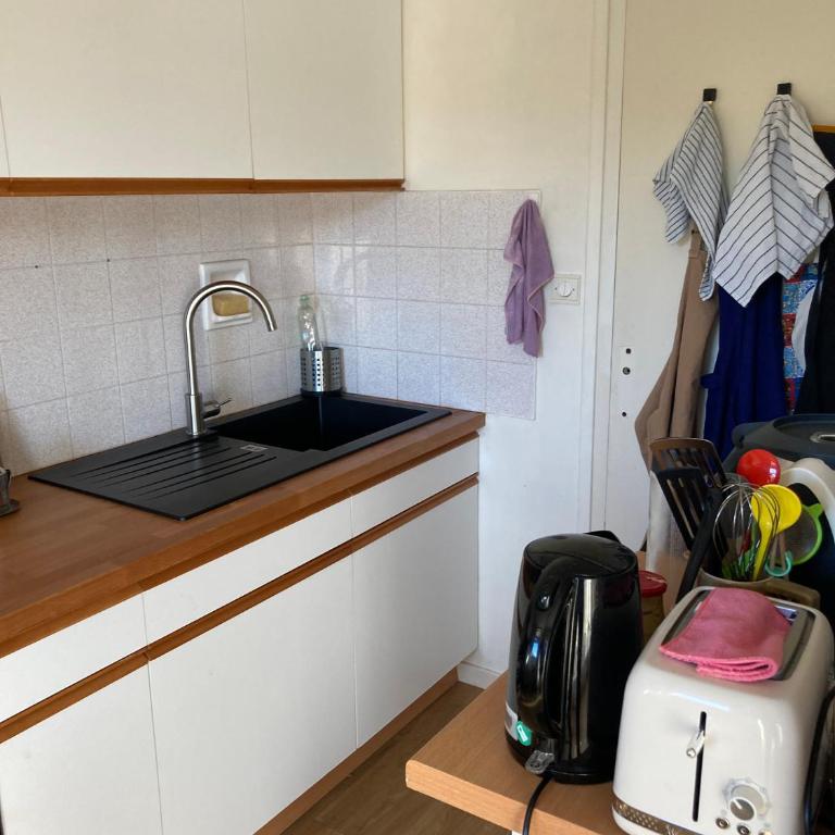 Grand T2 climatisé avec parking à 7 min des Thermes Vue château - Apartment mit 1 Schlafzimmer und Terrasse - 5