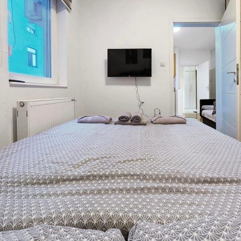Stay & smile Novi Sad - Apartman sa 2 Spavaće Sobe - 9
