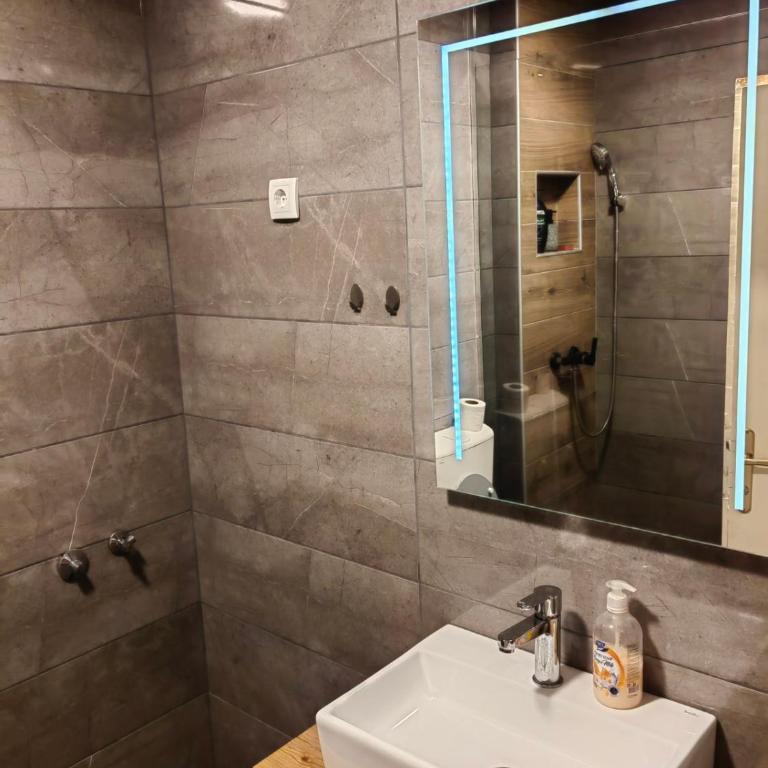 Vrbas - Apartman sa 1 Spavaćom Sobom - 3