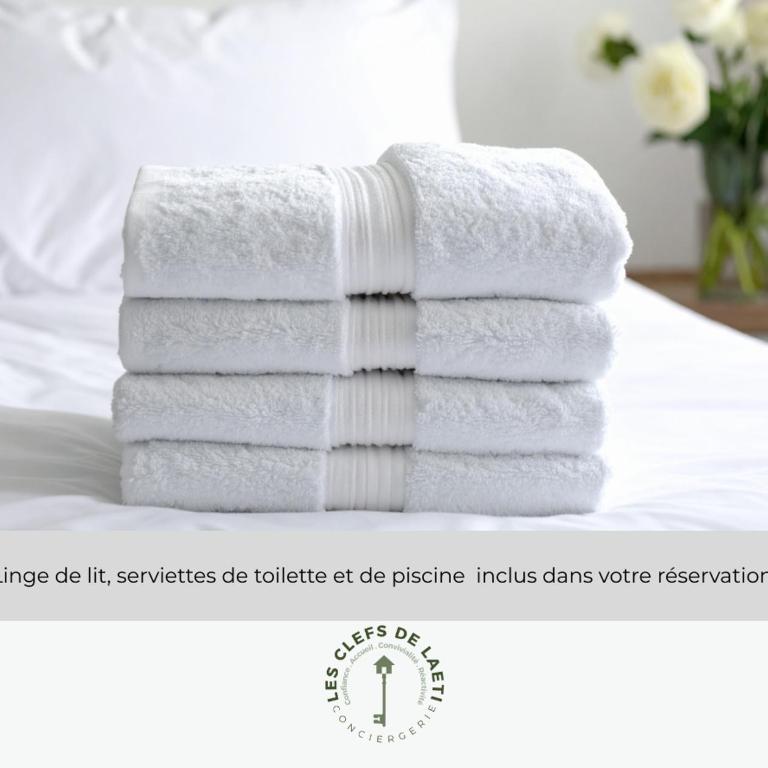 Cocon Classé 3 Etoiles - Love et Détente - SPA - Villa 1 Chambre - 85