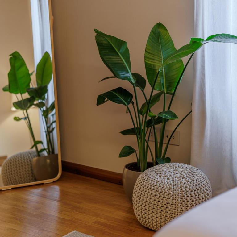 Agriturismo Borgata Levita - Appartamento con 2 Camere da Letto - 3
